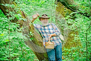 Happy Grandfather with mushrooms in busket hunting mushroom. Mushrooming in nature. photo