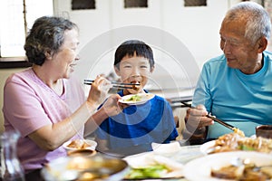 Happy Grandmother feeding her grandson