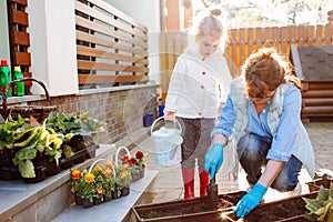 Happy grandmother with her little granddaughter gardening in a backyard. Family ang different generation. Grandmawith and