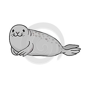 Happy gray seal lying on the beach and smiling .Vector illustration isolated on white background.