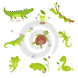 Happy Green Animals with Turtle, Frog, Snake, Iguana and Chameleon Vector Set