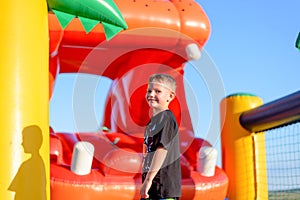 Happy grinning little boy at a fair