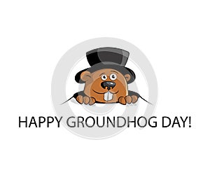 Happy groundhog day