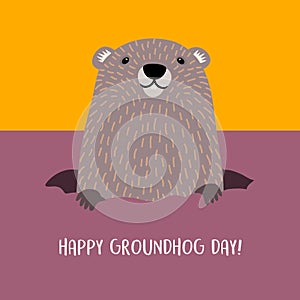 Happy Groundhog Day groundhog emerging from his burrow. photo