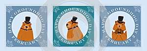 Happy groundhog day design with cute marmots. Marmot or beaver wild animal relax on nature vector illustration. Funny character.