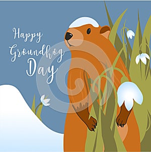 Happy Groundhog Day greeting card. Happy marmot Day Typographic Vector Design with Cute Groundhog Character - Advertising Poster