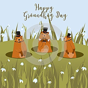 Happy Groundhog Day greeting card. Happy marmot Day Typographic Vector Design with Cute Groundhog Character - Advertising Poster