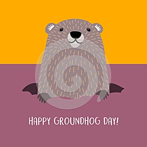 Happy Groundhog Day groundhog emerging from his burrow.