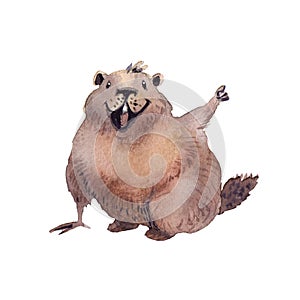 Happy Groundhog Day - hand drawing watercolor groundhog