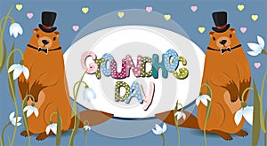 Happy groundhog Day. horizontal banner of marmots. Text lettering for greeting card. Vector cartoon illustration. Cute marmot day