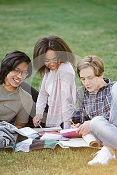 Happy group of multiethnic students studying outdoors