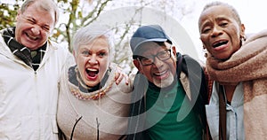 Happy, group and portrait of senior friends outdoor in a park together for bonding, celebration or game in retirement