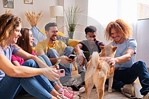 Happy group of students in a shared flat with their Shiba Inu dog.