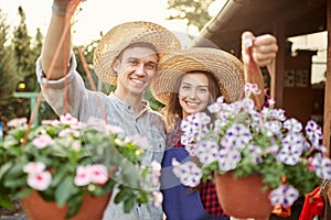 Happy guy and girl gardeners in a straw hats hold pots with wonderful petunia in the garden on a sunshine