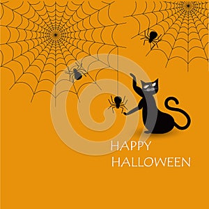 Happy Halloween. Black cat stretches its front legs to catch a spider