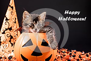 Happy Halloween card. A cat with wings sits in a bucket of pumpkin on a black background with text