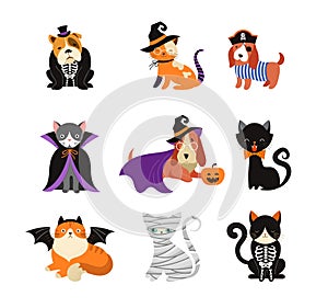 Happy Halloween - cats and dogs in monsters costumes, Halloween party. Vector illustration, banner, elements set