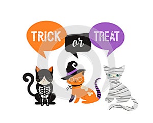 Happy Halloween - cats in monsters costumes, Halloween party. Vector illustration, banner, elements set