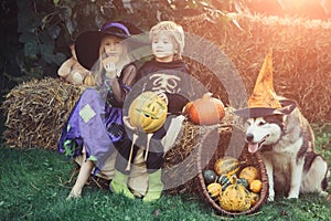 Happy Halloween Children girl and boy sit on hay or straw on meadow in autumn. Halloween children enjoying in the autumn