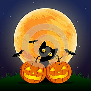 Happy Halloween Day , Bat and spider , Cute pumpkin smile spooky scary but cute and black cat party under moon