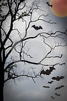 happy halloween, halloween night background, Halloween Background, holloween party. Happy halloween card template design.