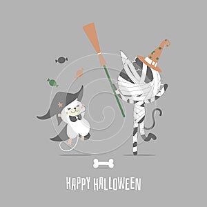 Happy halloween holiday festival with mummy cat and mouse