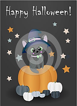 Happy Halloween Magic night. Greeting card with cat and pumpkins