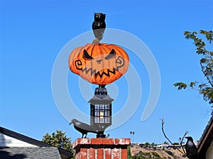 Happy Halloween with Pumpkin Head Owl and Raven