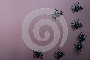 Happy Halloween, scary spider on purple background