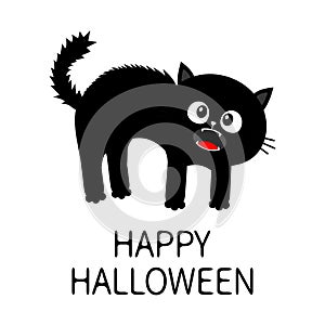 Happy Halloween. Screaming kitten. Frightened cat arch back. Hair fur stands on end. Eyes, fangs, moustaches whisker. Cute funny c