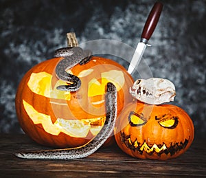 Happy Halloween. Snakes with pumpkins on a table.