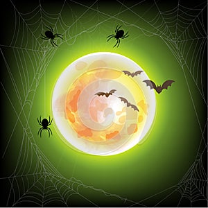 Happy Halloween. spider web on green background