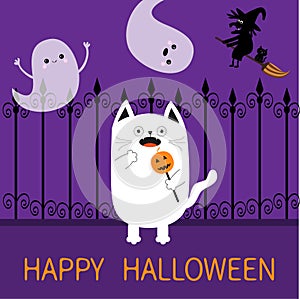 Happy Halloween. Spooky frightened cat holding pumpkin face on stick. Forged iron fence. Flying ghosts hands up, witch broom Boo.