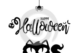 Happy halloween text banner with cat and spider hanging from spiderwebs  isolated white background,blank space for text,element