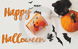 Happy Halloween text on cat paws holding Jack o lantern candy pail on white background with pumpkin, bats and spider decorations,