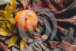 Happy halloween or thanksgiving flat lay. autumn pumpkin with co