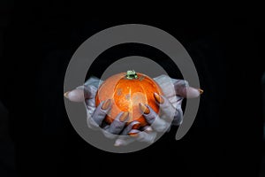 Happy Halloween theme. Small pumpkin in witches pale knotty hands with sharp long nails, low key, selected focus. photo