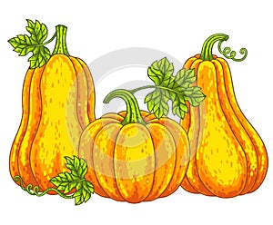 Happy Halloween vector illustration Set of cute pumpkins for your design for the holiday and thanksgiving day