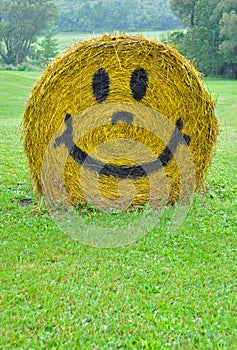 Happy hay