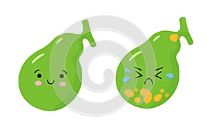 Happy healthy gallbladder and sick sad gallbladder with stones. Characters to illustrate the problem of cholecystitis photo