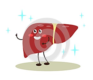 Happy healthy liver on a white background. Cartoon.