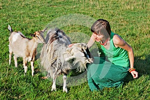 Happy hippie girl and goats photo