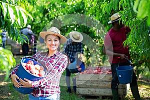 Happy hispanic woman with picked peaches in farm orchard