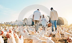 Happy, holding hands and chicken with black family on farm for agriculture, environment and bonding. Relax, lgbtq and