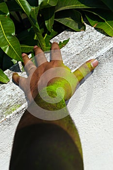 Happy holi celebration - Indian man with colourful hands,  over nature background