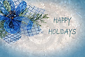 Happy Holidays Card photo