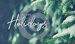 Happy Holidays Christmas Script Text Over Evergreen Tree Background in Woods Covered in Snow