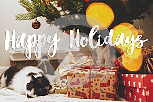 Happy holidays Greeting card. Happy holidays text handwritten on adorable cat sleeping under christmas tree with gift boxes and