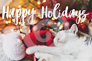 Happy holidays Greeting card. Happy holidays text handwritten on cute kitten sleeping on cozy santa hat with ornaments in festive
