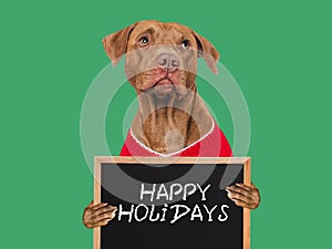 Happy Holidays. Lovable dog and sign Close-up